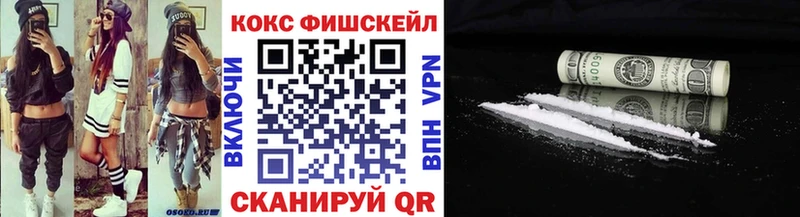 Купить закладки  Елизово  Кокаин 98% 