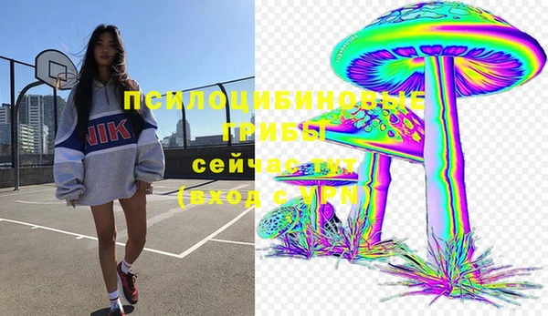 амф Зеленодольск
