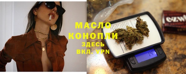 метадон Инта