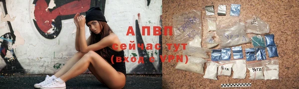 амф Зеленодольск
