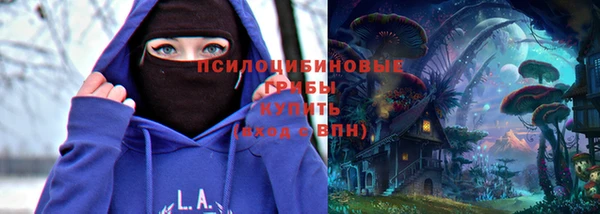соль ск Иннополис