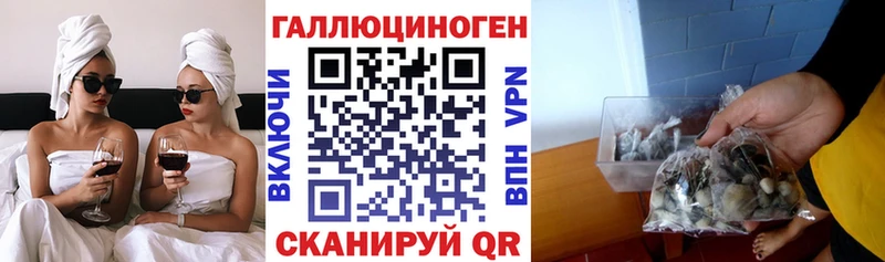Купить закладки  Елизово  Псилоцибиновые грибы мицелий 